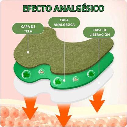 DETOX - 40 PARCHES RODILLA - 40 KINOKIS DESINTOXICANTES - 24 PARCHES ANTI VARICES