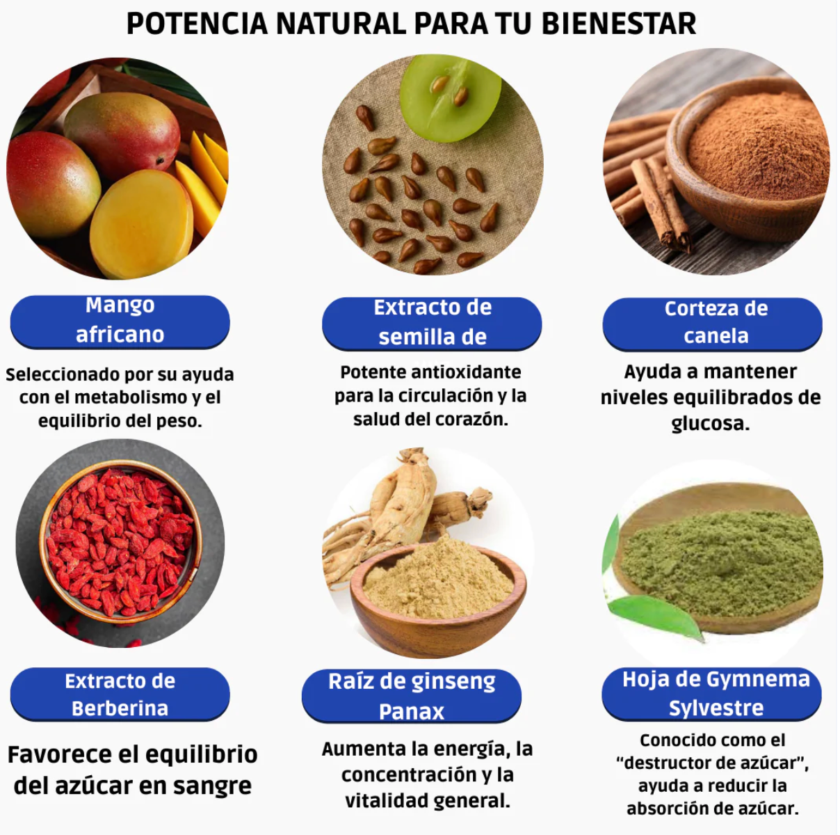 GlycoShield ⚡ Dile adiós a los bajones de azúcar y al cansancio