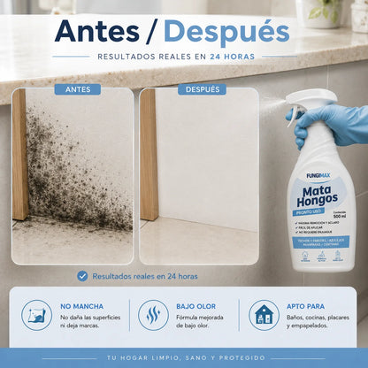 Mata Hongos - Removedor de moho | Paredes más limpias, frescas y protegidas en 24 horas.