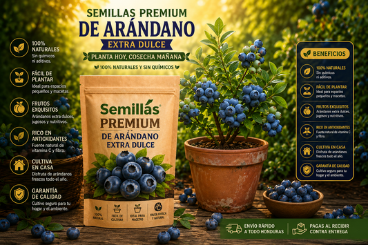 🫐 200 Semillas Premium de Arándano Extra Dulce | Cultivo en Casa